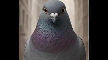 Tem algo de errado ein