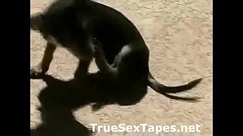 Amateur guy films his girlfriend with big tits in wet bikini Amateur guy films his girlfriend with big tits in wet bikini