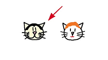 Video del canal haroo