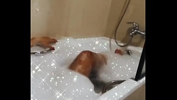 Ruiva peituda na banheira