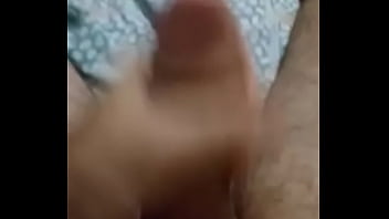 Leão de floripa 03 Leão de floripa 03