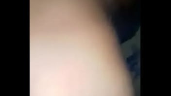 Chacal goiendose a guanaca madura