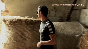 Gypsy Rado From Hammerboys Tv thumbnail