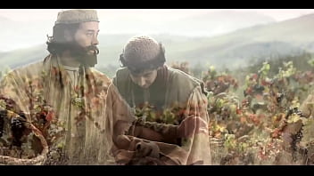 Autoridade do cristo