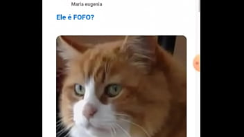 O melhor site de p€r do br após o yahoo