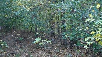 Cowgirl Teen Dianna Jean Plays On Her Tractor Mp4 thumbnail