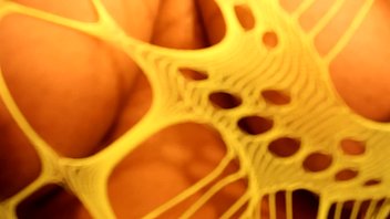 Big bouncing nipples