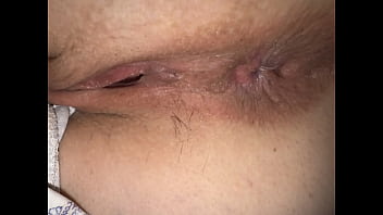 The Night Explorer thumbnail