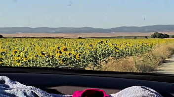 Desafio no campo de girassol transando na plantação damiana brasileira safada pela europa ep6