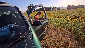 Desafio no campo de girassol transando na plantação damiana brasileira safada pela europa ep6