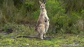 Vimeo# home page 1 filter all format video