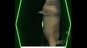 She didn’t cast a spell she just looked — and the wind obeyed