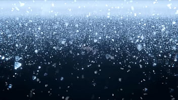 Fetischvideo adventskalender 2025 24 erniedrigende videos f&uuml;r devote sissys keuschis geldsklaven bzw sklaven im allgemeinen