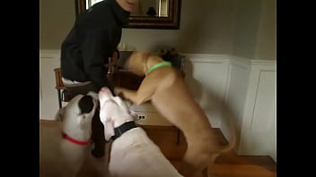 Incredible sexy honey having