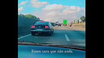 Mustang tomando atrás