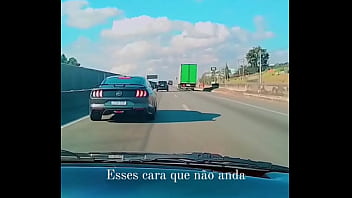 Mustang tomando atrás