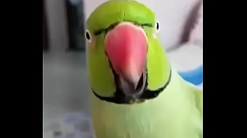 वेरीफ़िकेशन विडियो