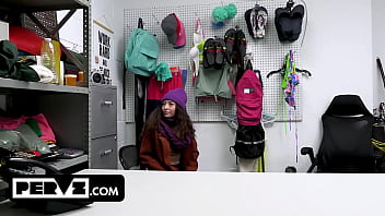 Case no 7906225 the happy holidays thief