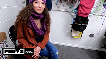 Case no 7906225 the happy holidays thief