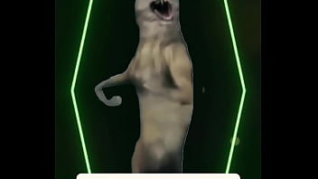 The music slows the lights dim and all that’s left is the heartbeat between two dancers