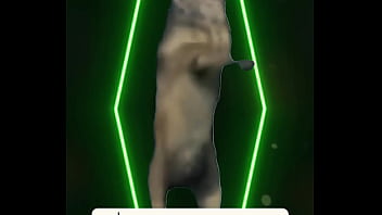 The music slows the lights dim and all that’s left is the heartbeat between two dancers