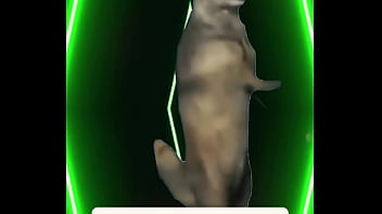 The music slows the lights dim and all that’s left is the heartbeat between two dancers