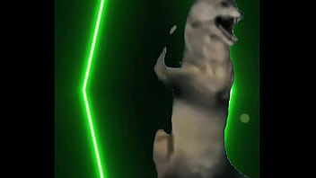 The music slows the lights dim and all that’s left is the heartbeat between two dancers