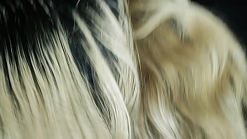 Le voy a sacar toda la leche