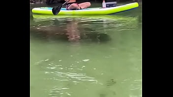 Yesterday i got to paddle beside this big girl for most of the river so fun hanging out with manatees