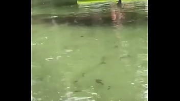 Yesterday i got to paddle beside this big girl for most of the river so fun hanging out with manatees