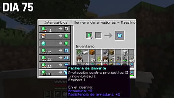Vídeo de verificación