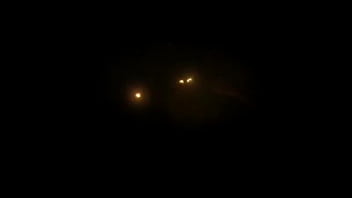 Kiss patricia anal scene 2nd cam angles 1 hour bts bonus footage