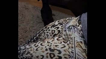 20170625 234455000 ios