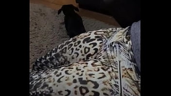 20170625 234455000 ios