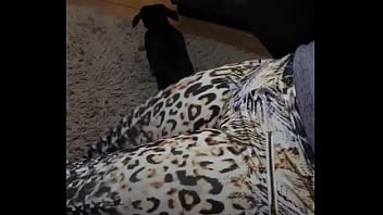 20170625 234455000 ios