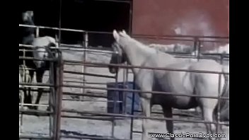 Noon time sex break outdoor