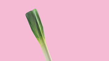 Hatsune miku se vuelve loca por sexo mod