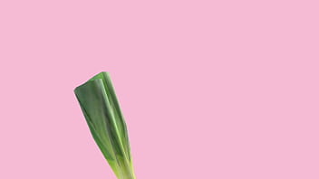 Hatsune miku se vuelve loca por sexo mod