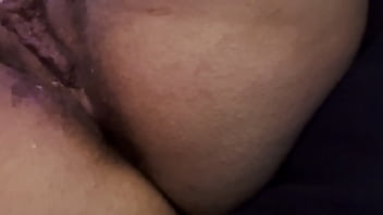 Kitty kitty is wet and wants to play