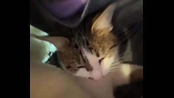 My world isn't just wild; it's also filled with computer work writing with you managing all my social m