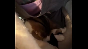 My world isn't just wild; it's also filled with computer work writing with you managing all my social m