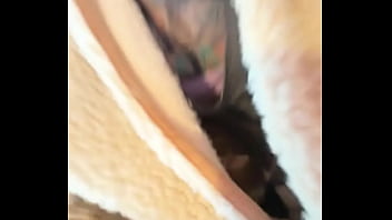 My world isn't just wild; it's also filled with computer work writing with you managing all my social m