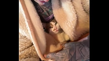 My world isn't just wild; it's also filled with computer work writing with you managing all my social m