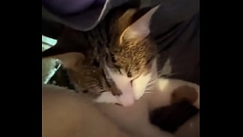 My world isn't just wild; it's also filled with computer work writing with you managing all my social m