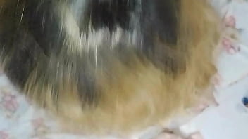 Vivi guedez with a brief sloppy blowjob from the guys to warm up before the scene