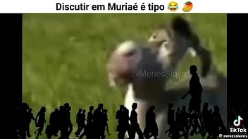 Vídeo de verificação