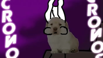 Destripando la historia ¦ version perritos