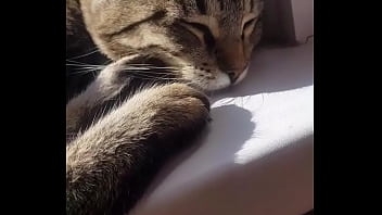 Видео для верификации