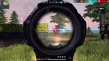 Botei molher pra lavar louça