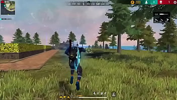 Botei molher pra lavar louça